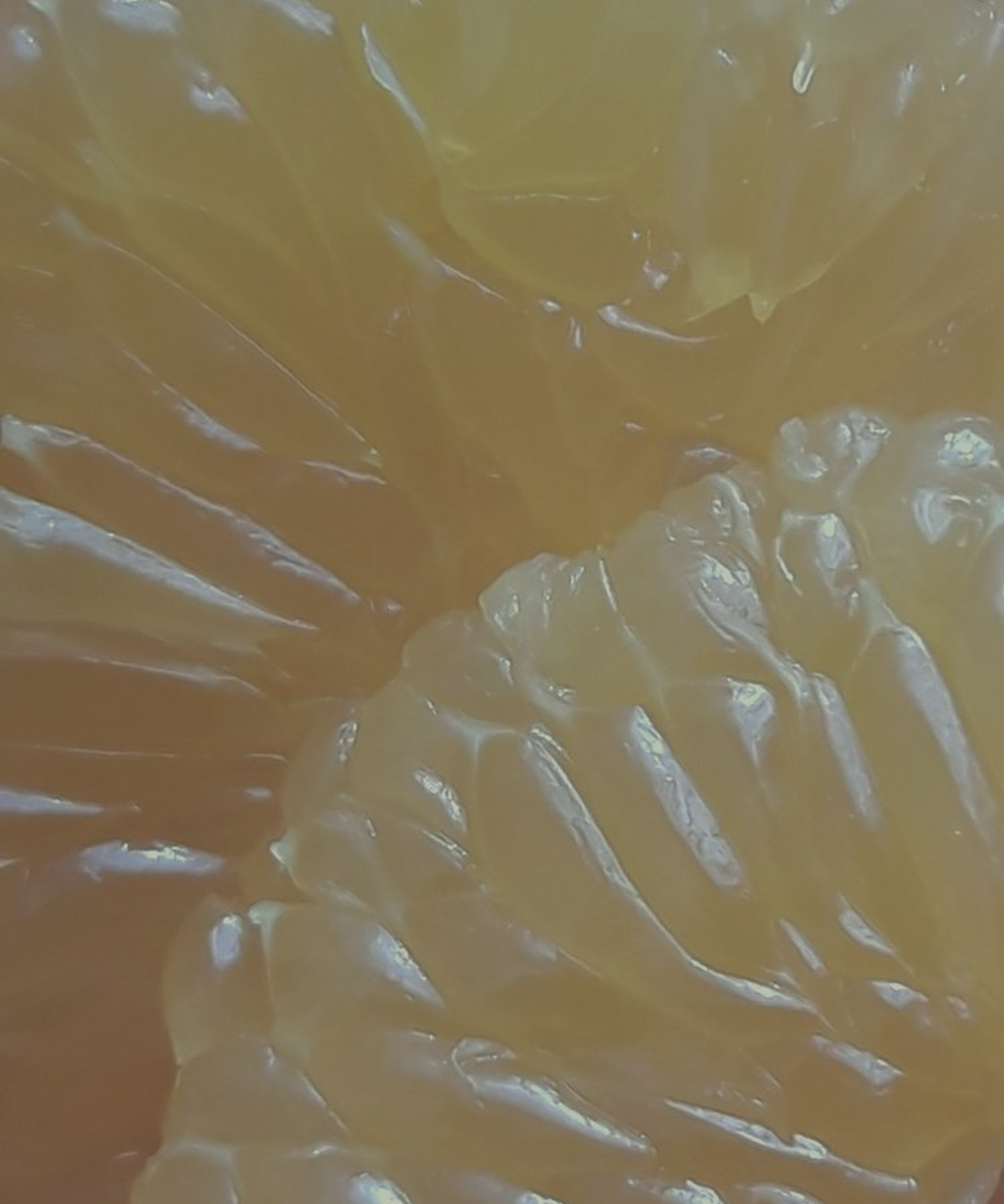 The Best Sex Toys for Beginners