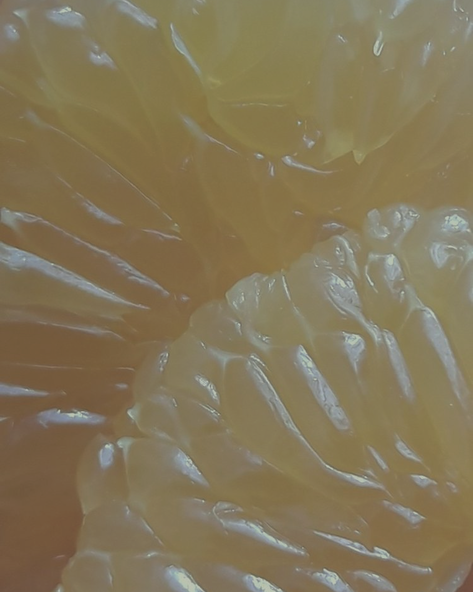 The Best Sex Toys for Beginners