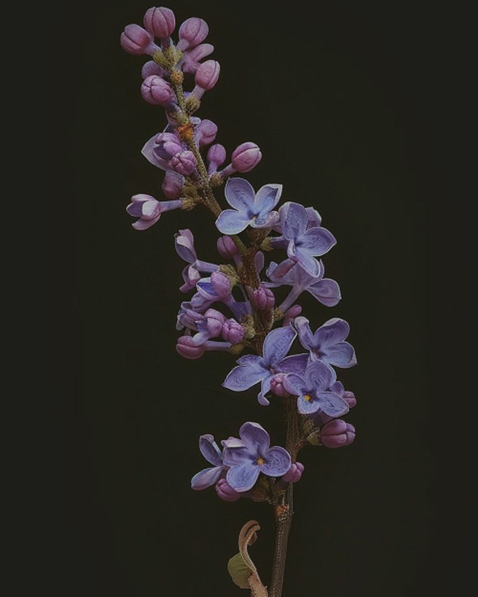 Is the Satisfyer Pro 2 Gen 3 Worth It