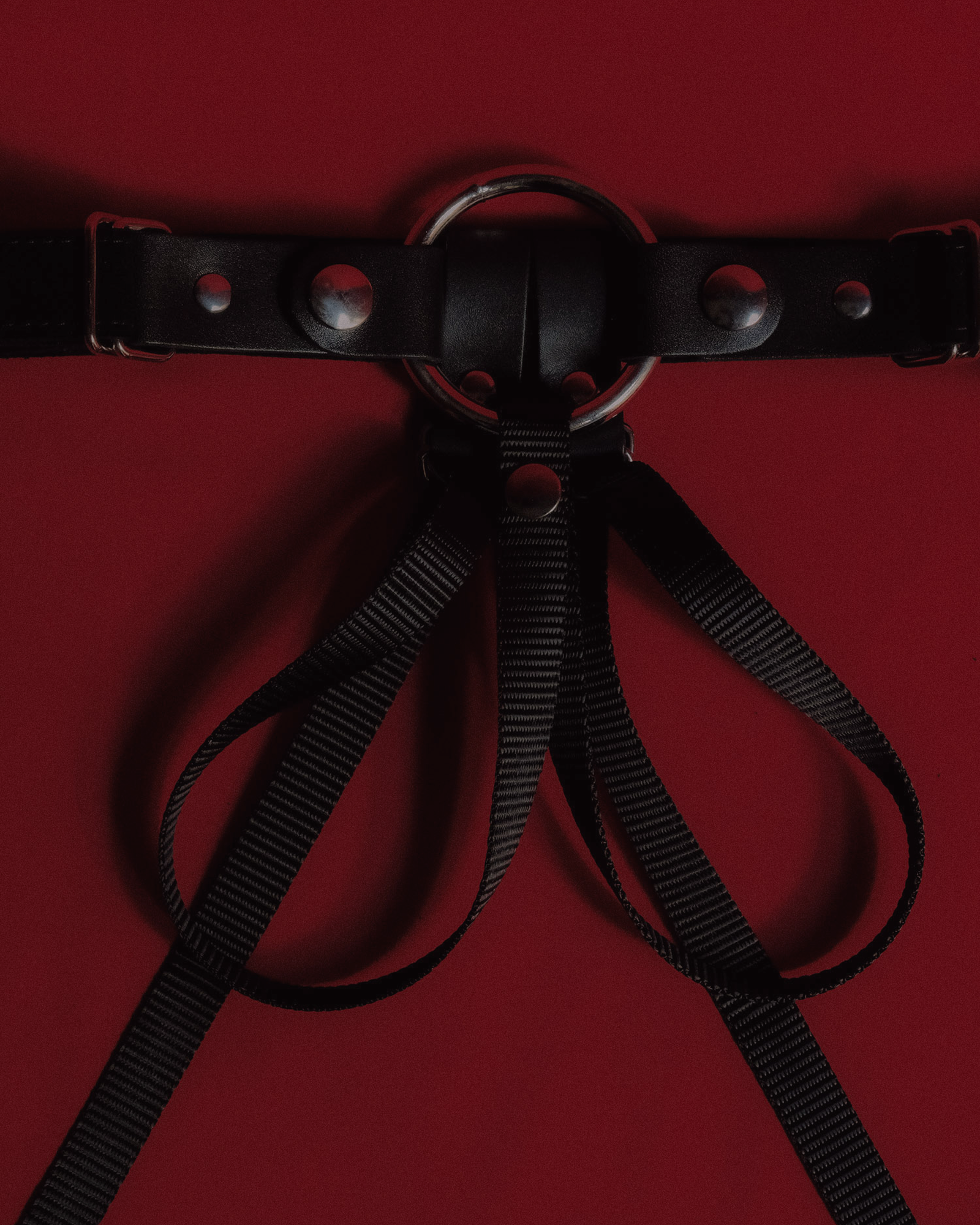 What Is Pegging? A Complete Guide to Strap-on Play